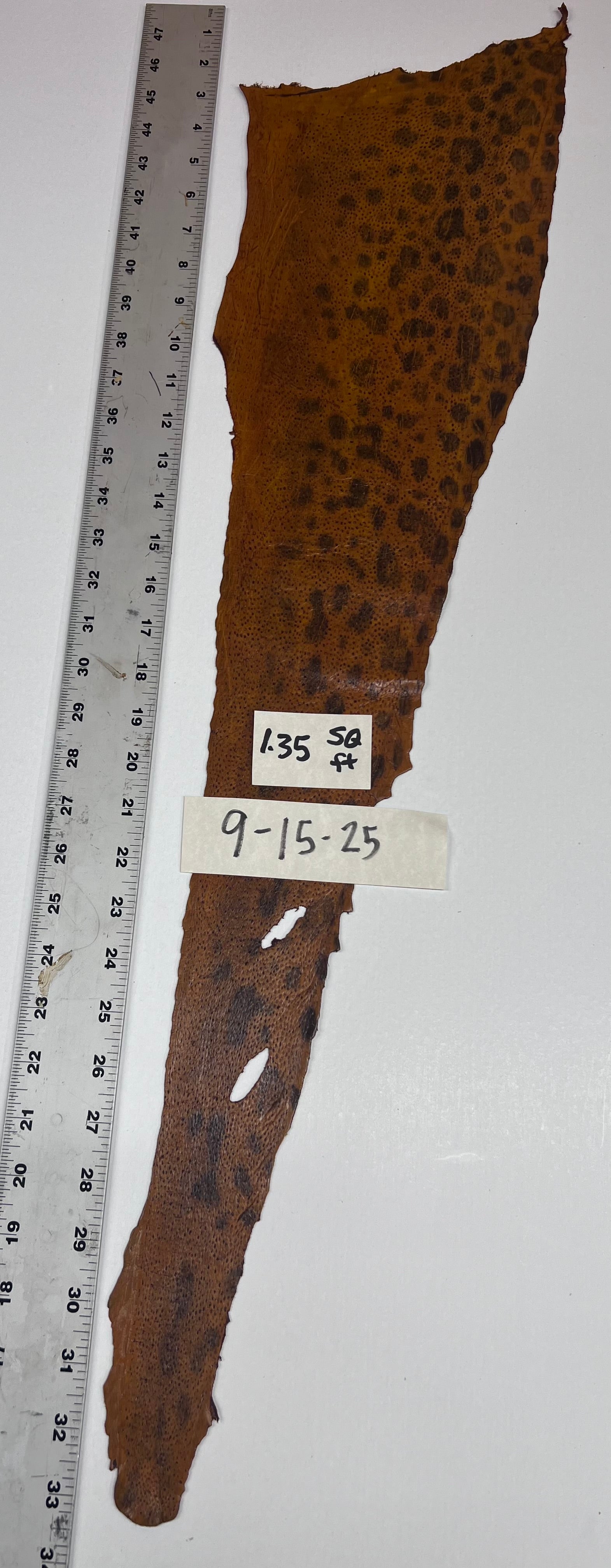 Wolffish leather