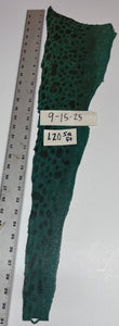 Wolffish leather