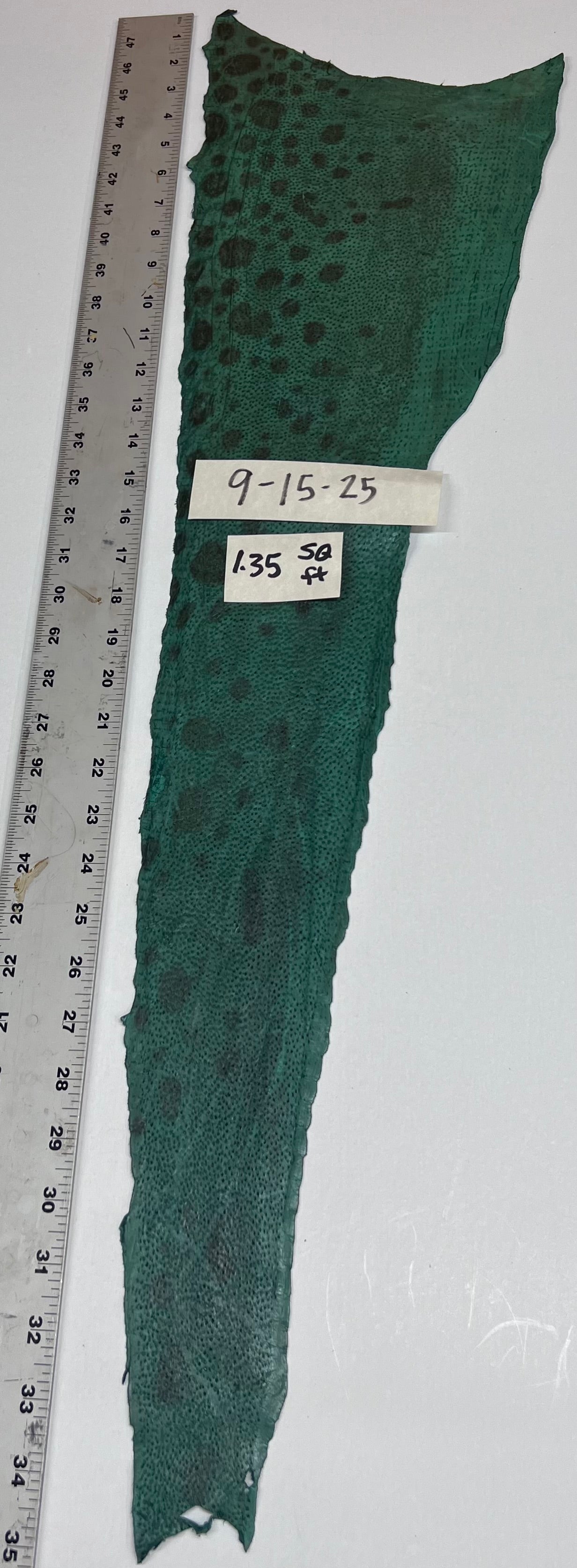 Wolffish leather