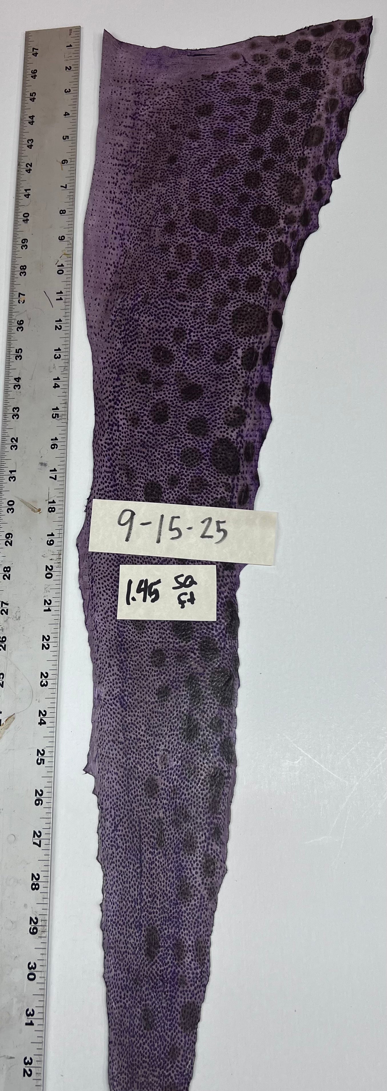 Wolffish leather