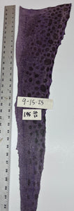 Wolffish leather