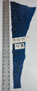 Wolffish leather