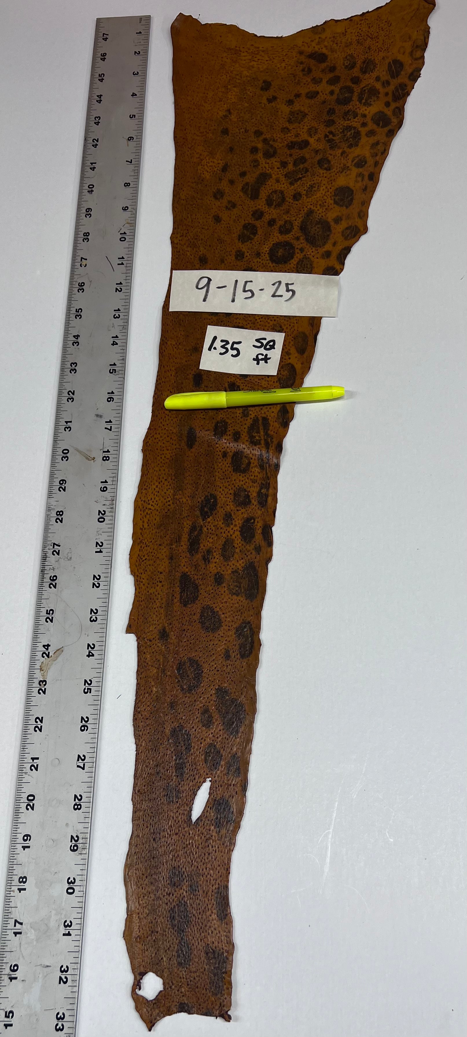 Wolffish leather