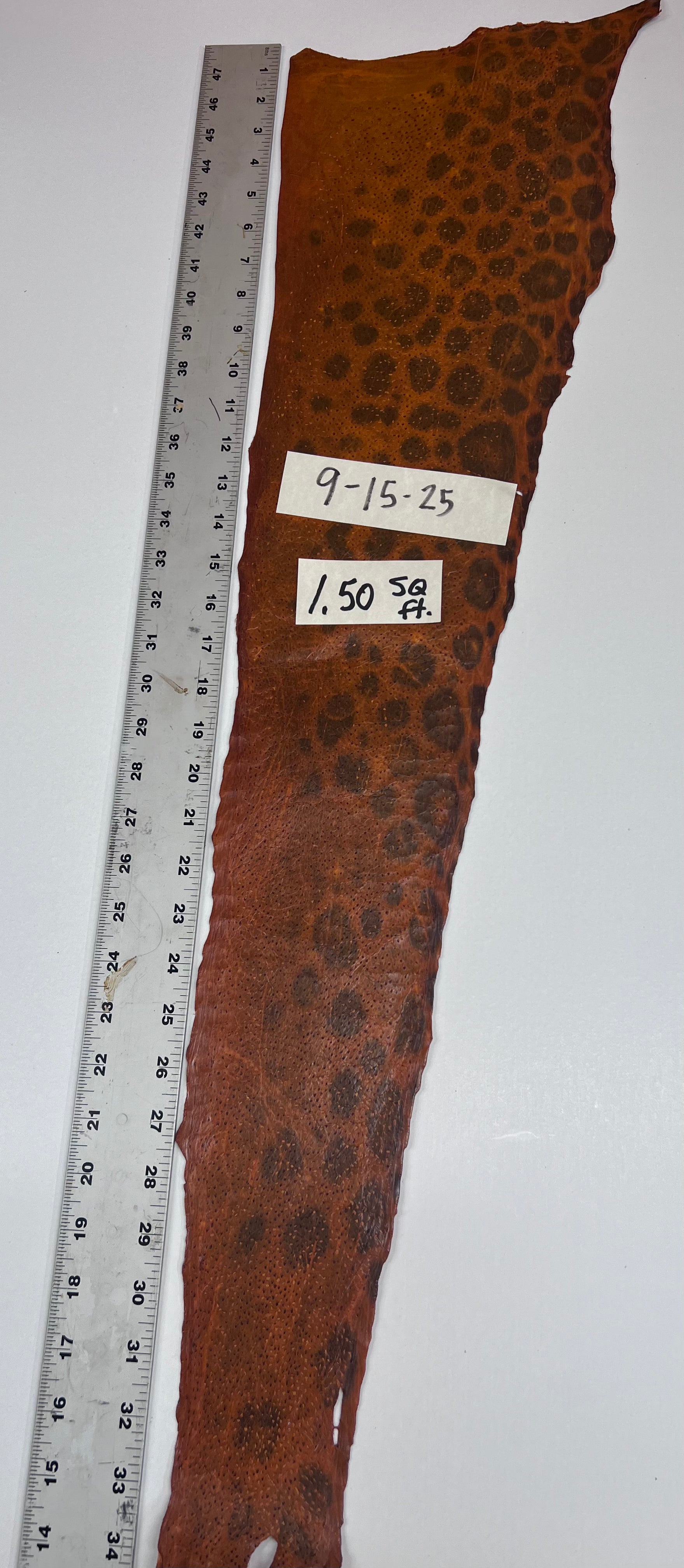 Wolffish leather