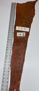 Wolffish leather