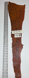Wolffish leather
