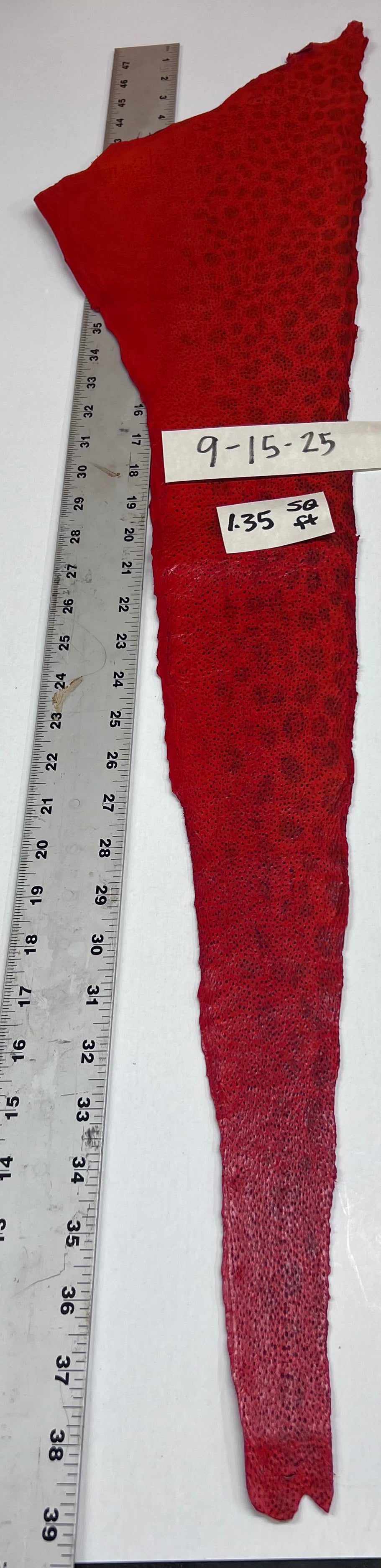 Wolffish leather