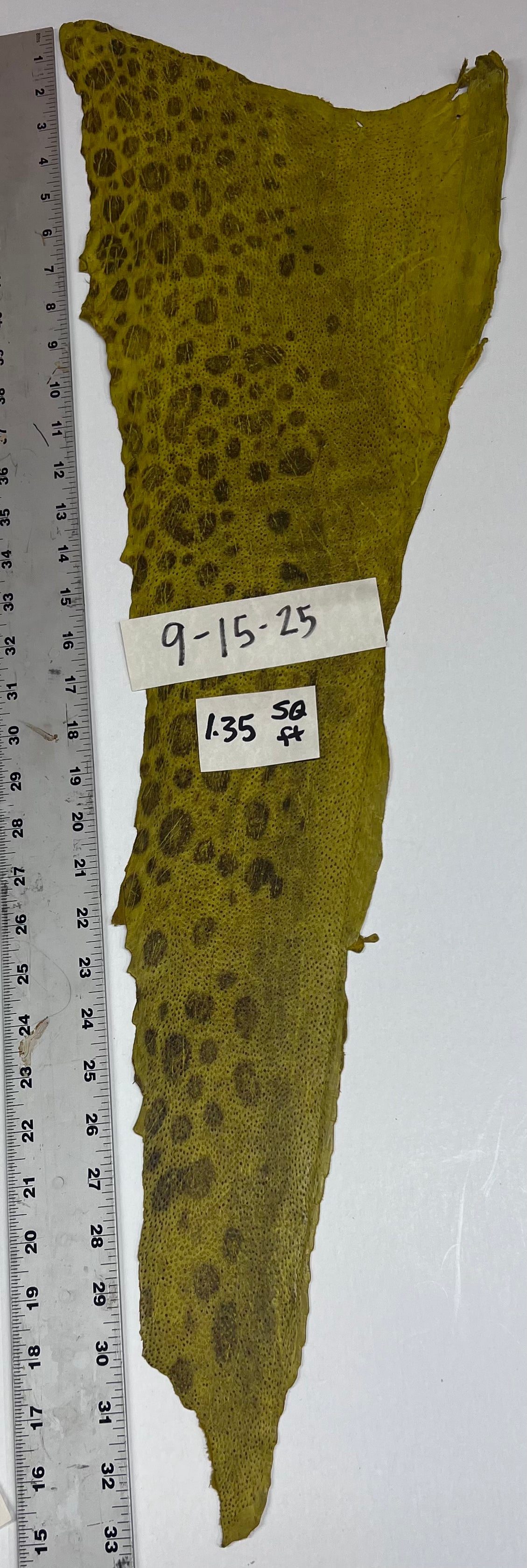 Wolffish leather
