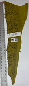 Wolffish leather