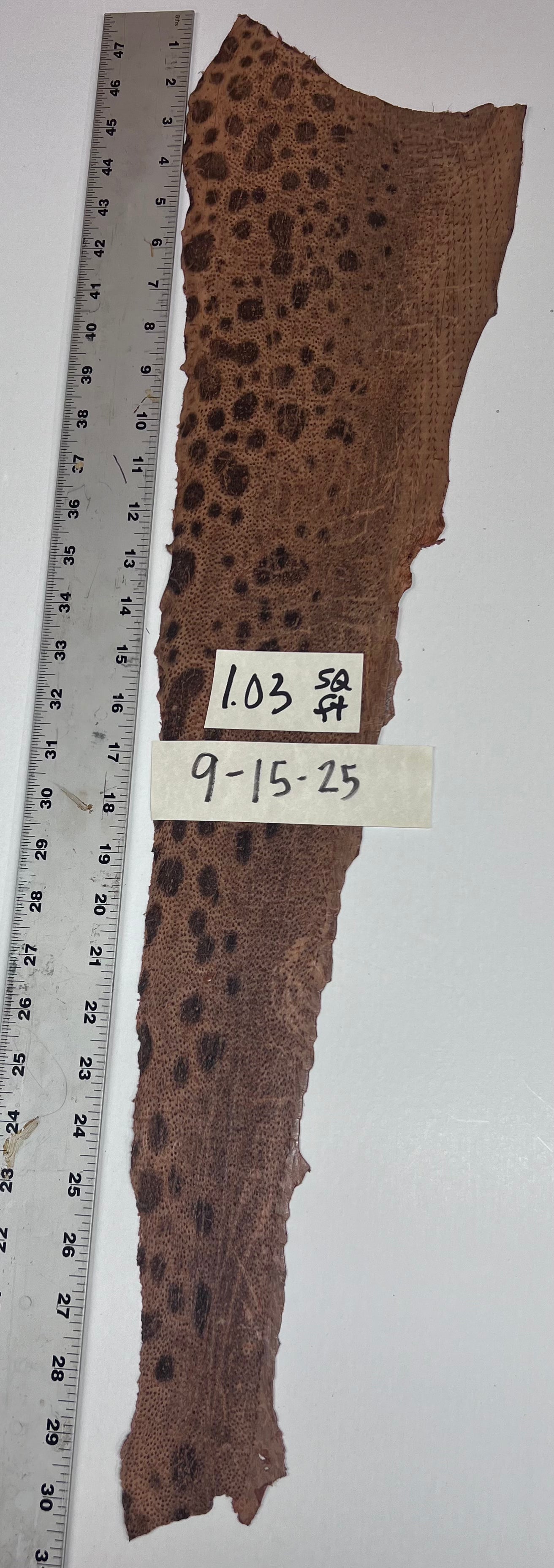 Wolffish leather