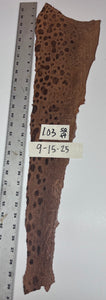 Wolffish leather