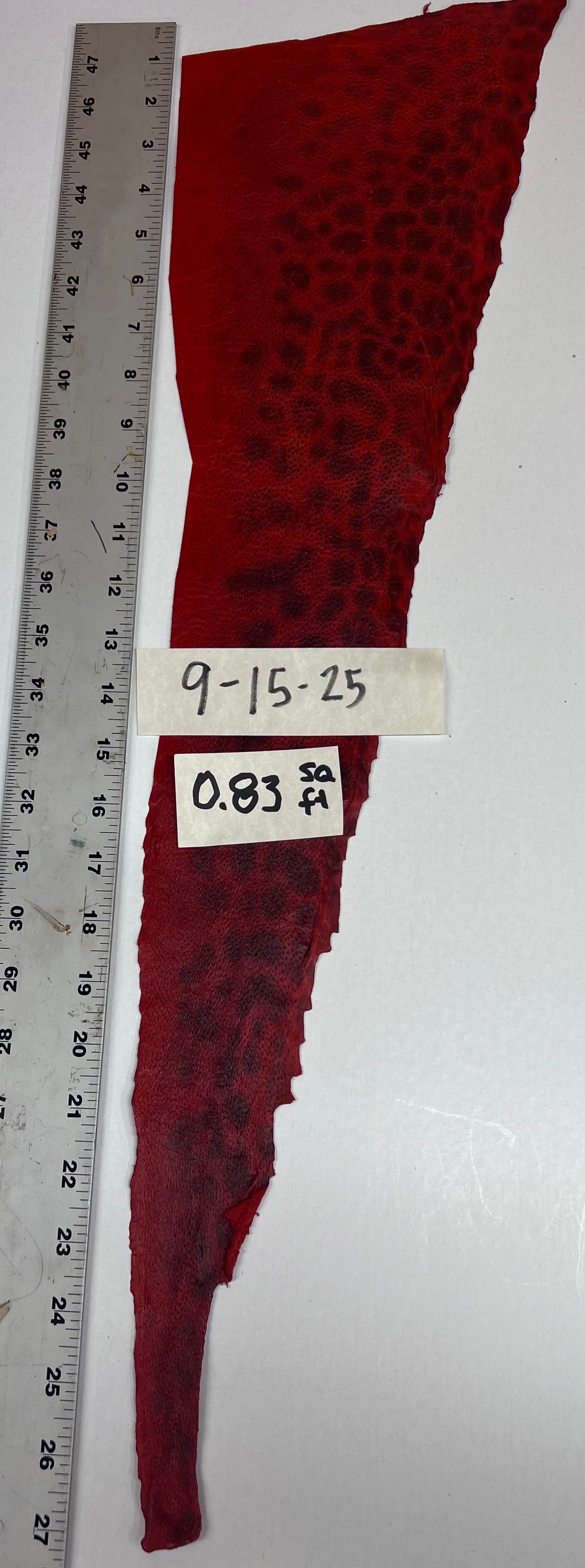 Wolffish leather