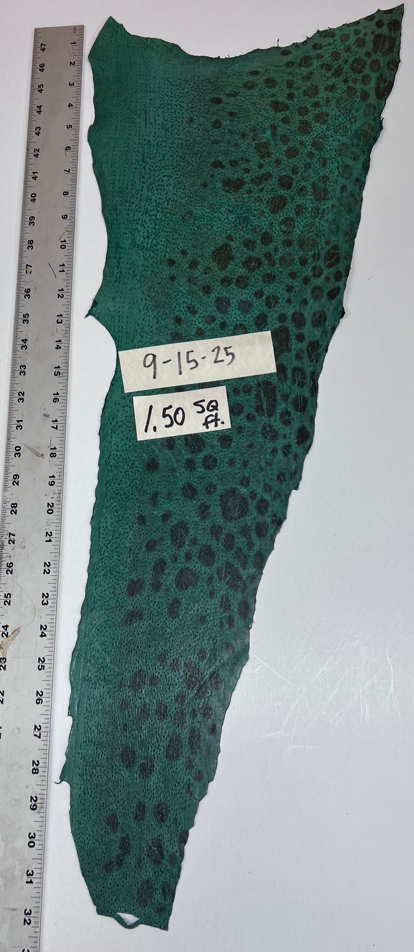 Wolffish leather
