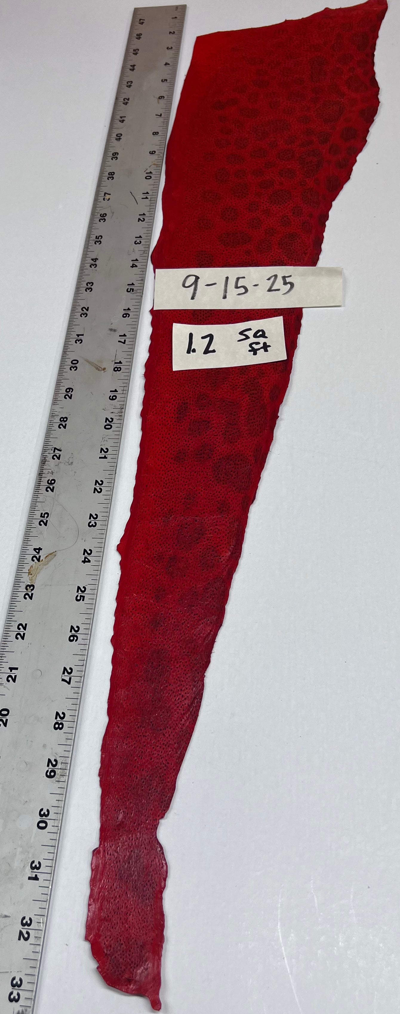 Wolffish leather