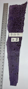 Wolffish leather