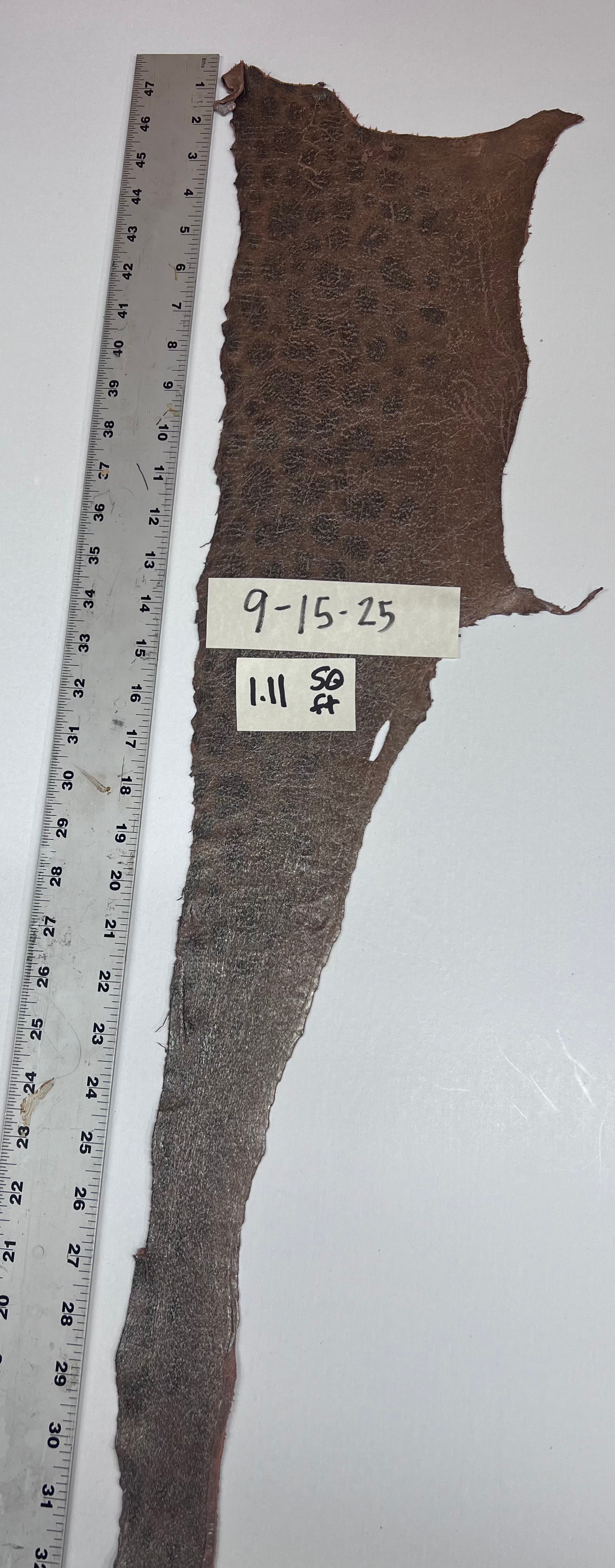 Wolffish leather