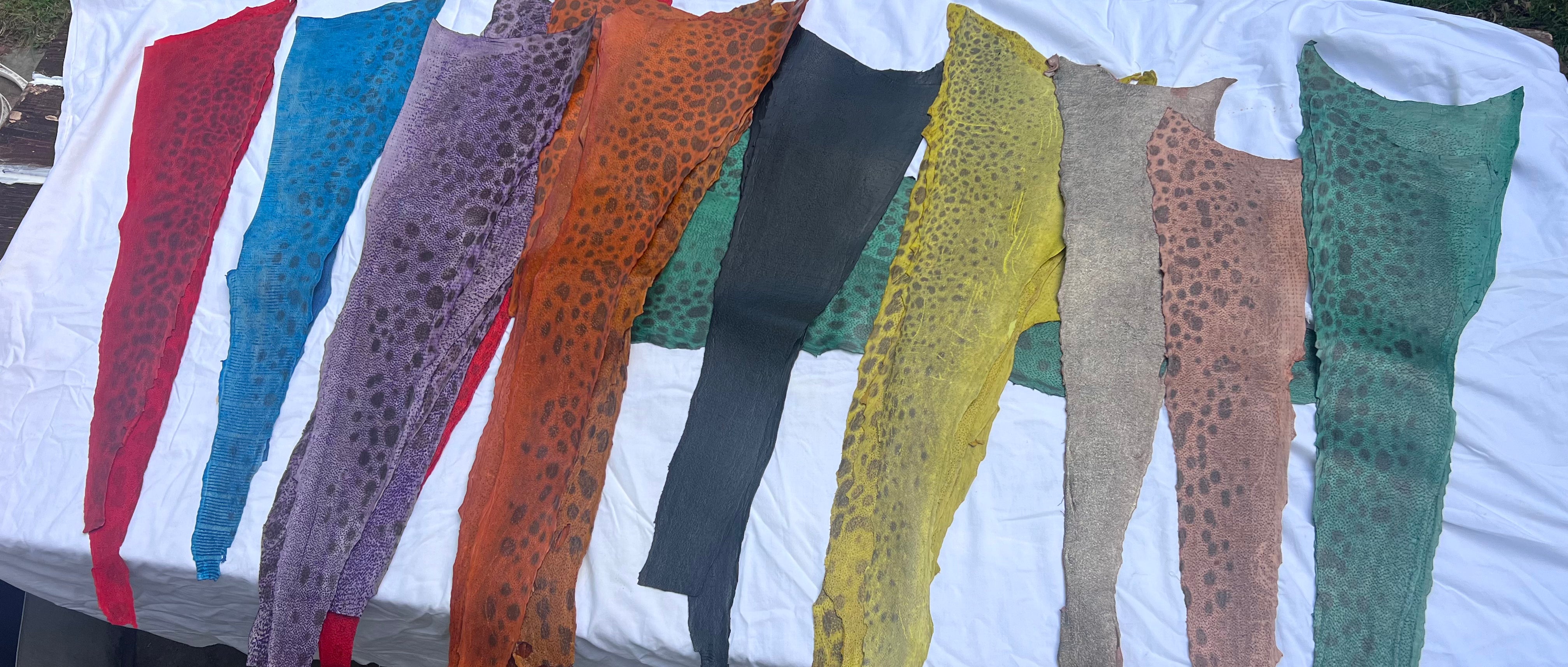 Wolffish leather