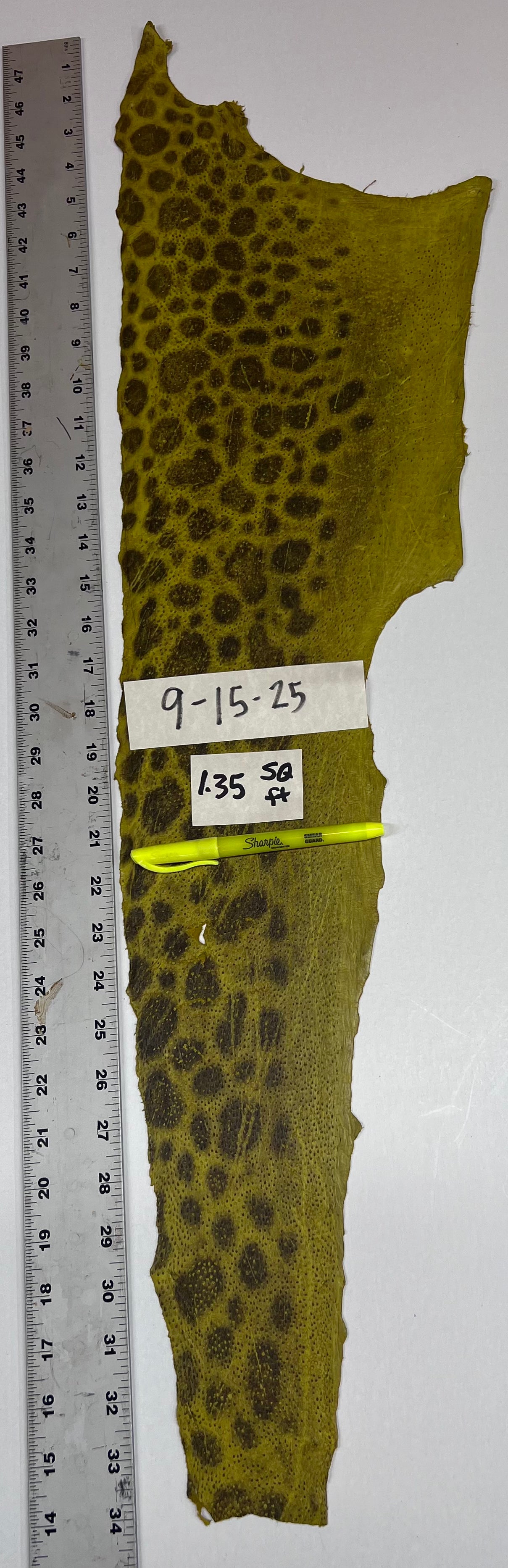Wolffish leather