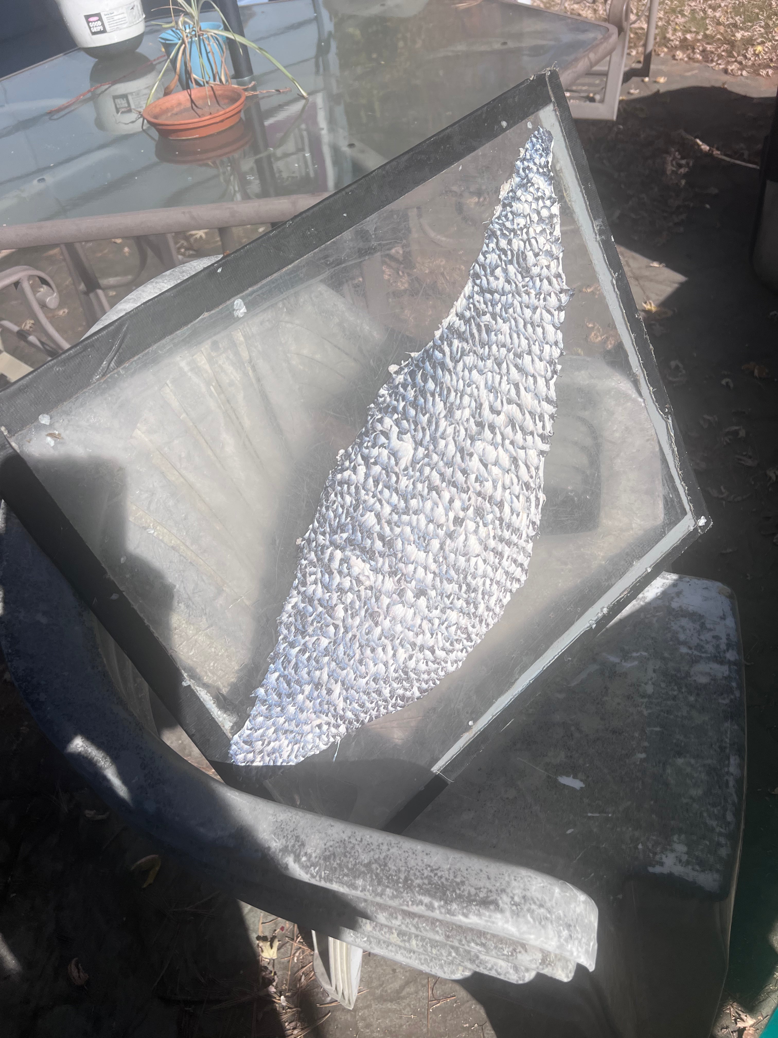 Custom Tanning Order for CoryQ