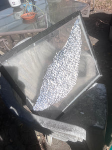 Custom Tanning Order for CoryQ