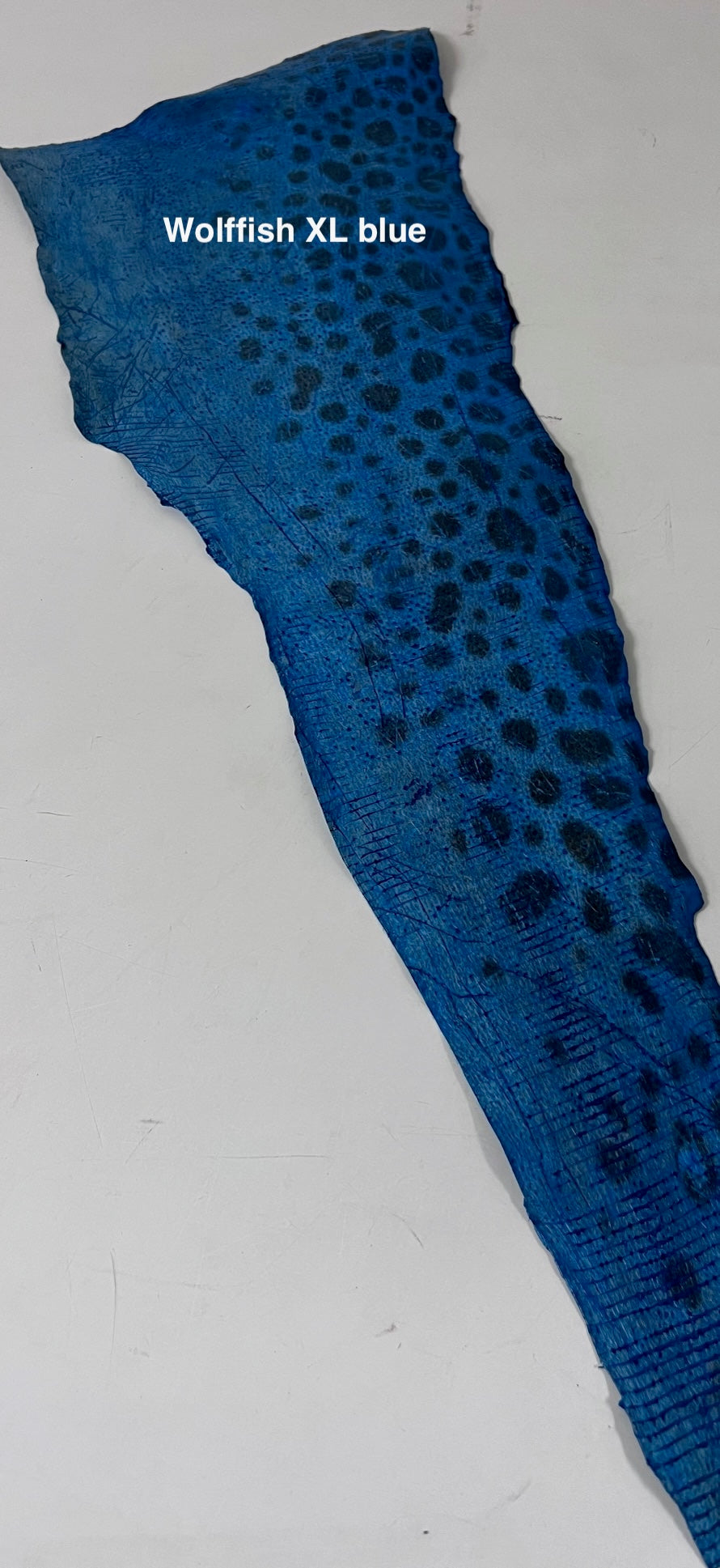 Wolffish leather