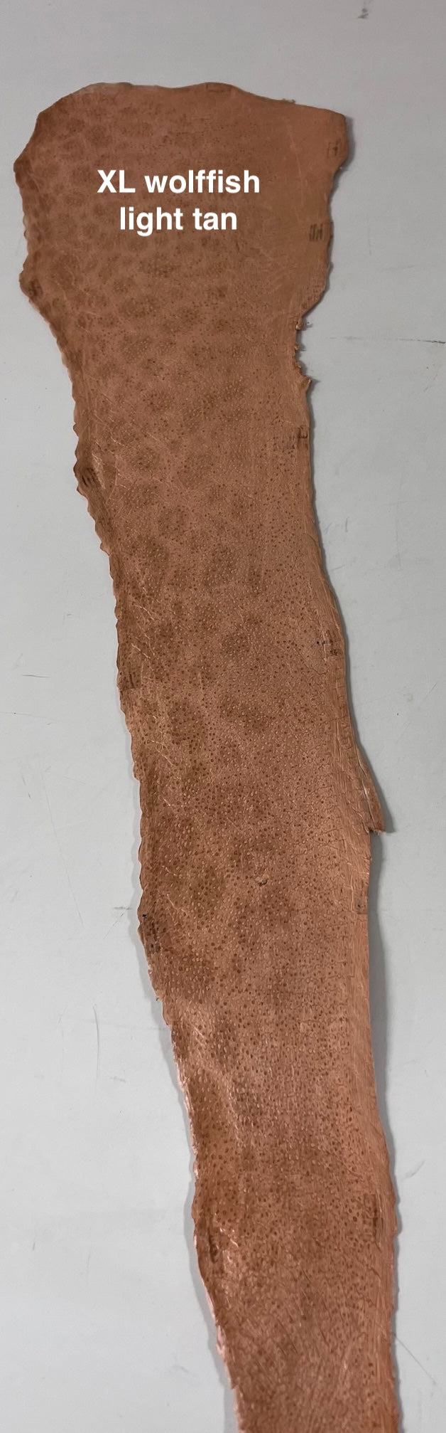 Wolffish leather