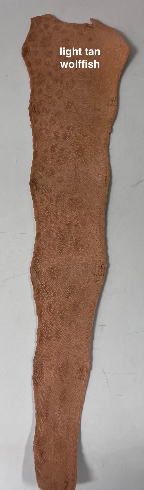 Wolffish leather