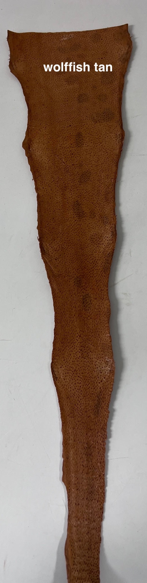 Wolffish leather