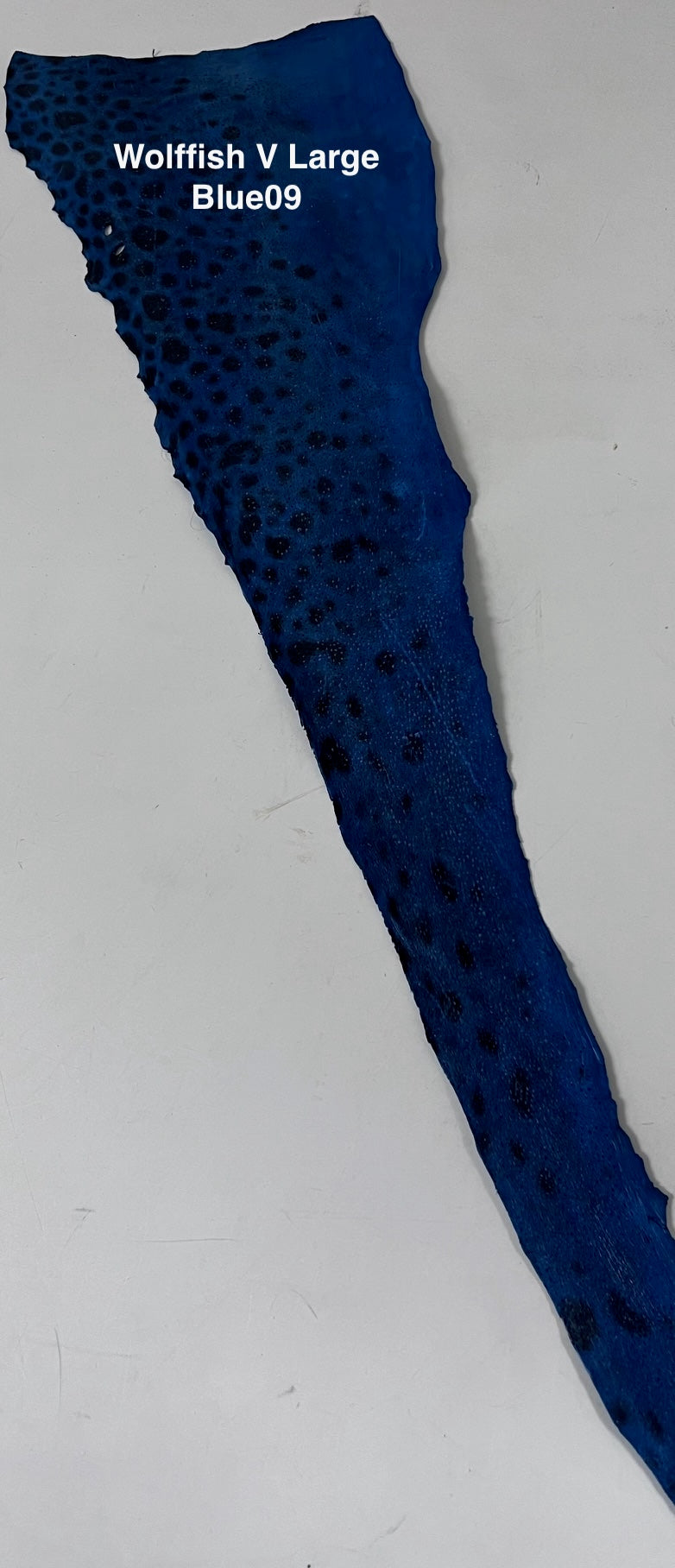 Wolffish leather