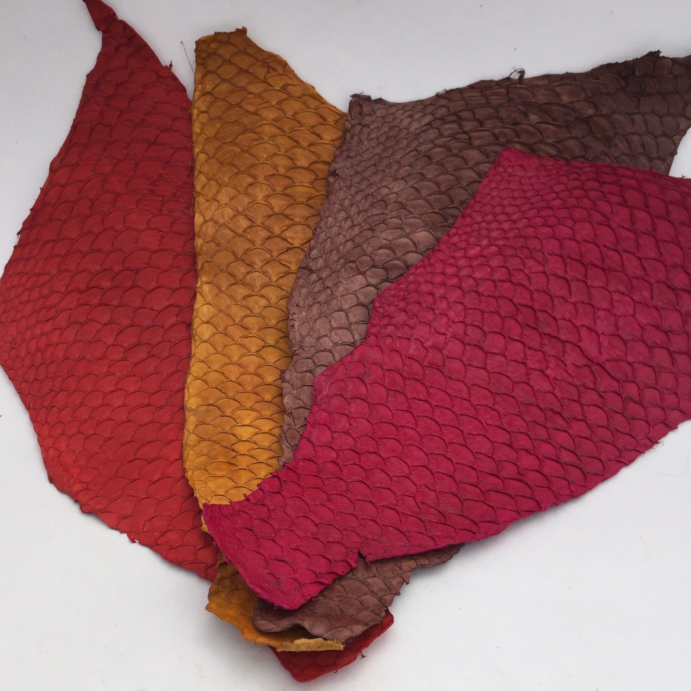 fish leather accessories Tilapia Leather
