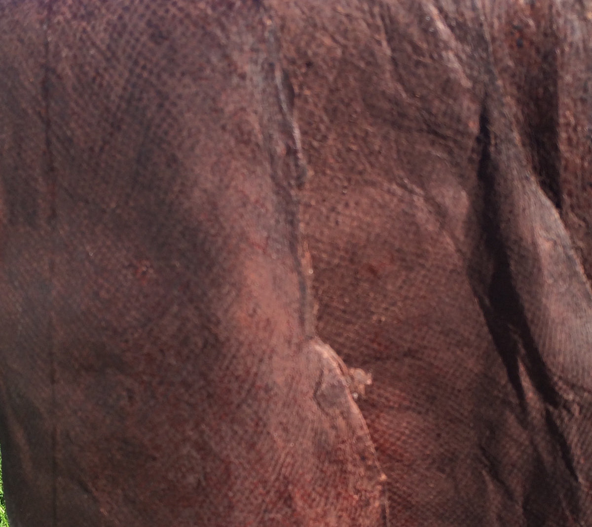 Cod leather – Fiskur Leather